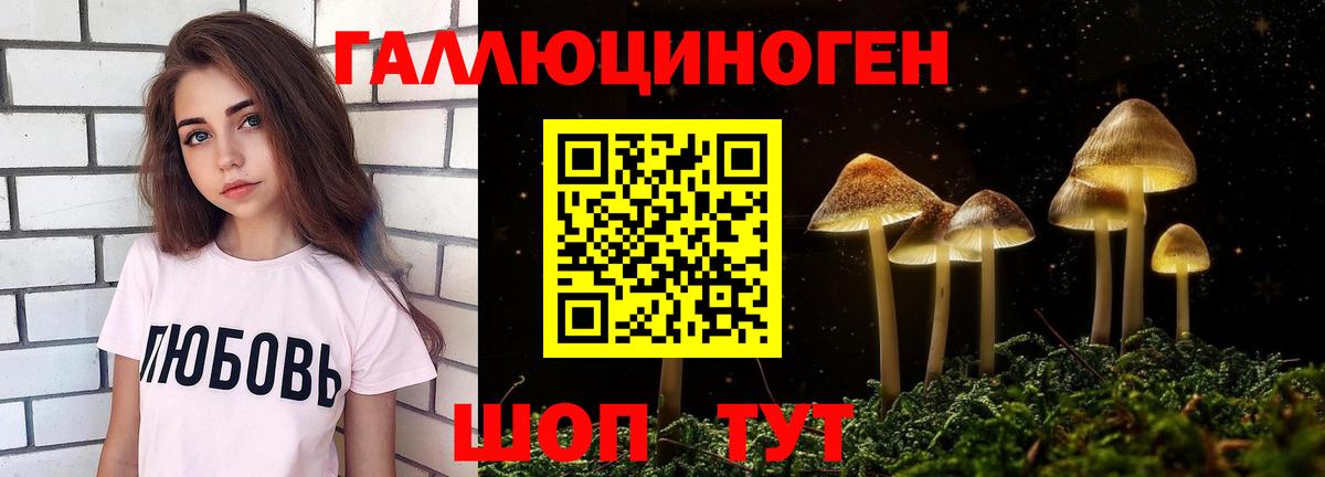 Галлюциногенные грибы MAGIC MUSHROOMS  Вход с VPN  Полысаево 