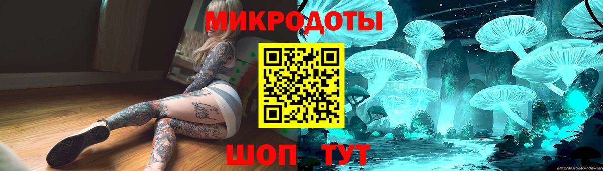 Псилоцибиновые грибы Psilocybe Полысаево